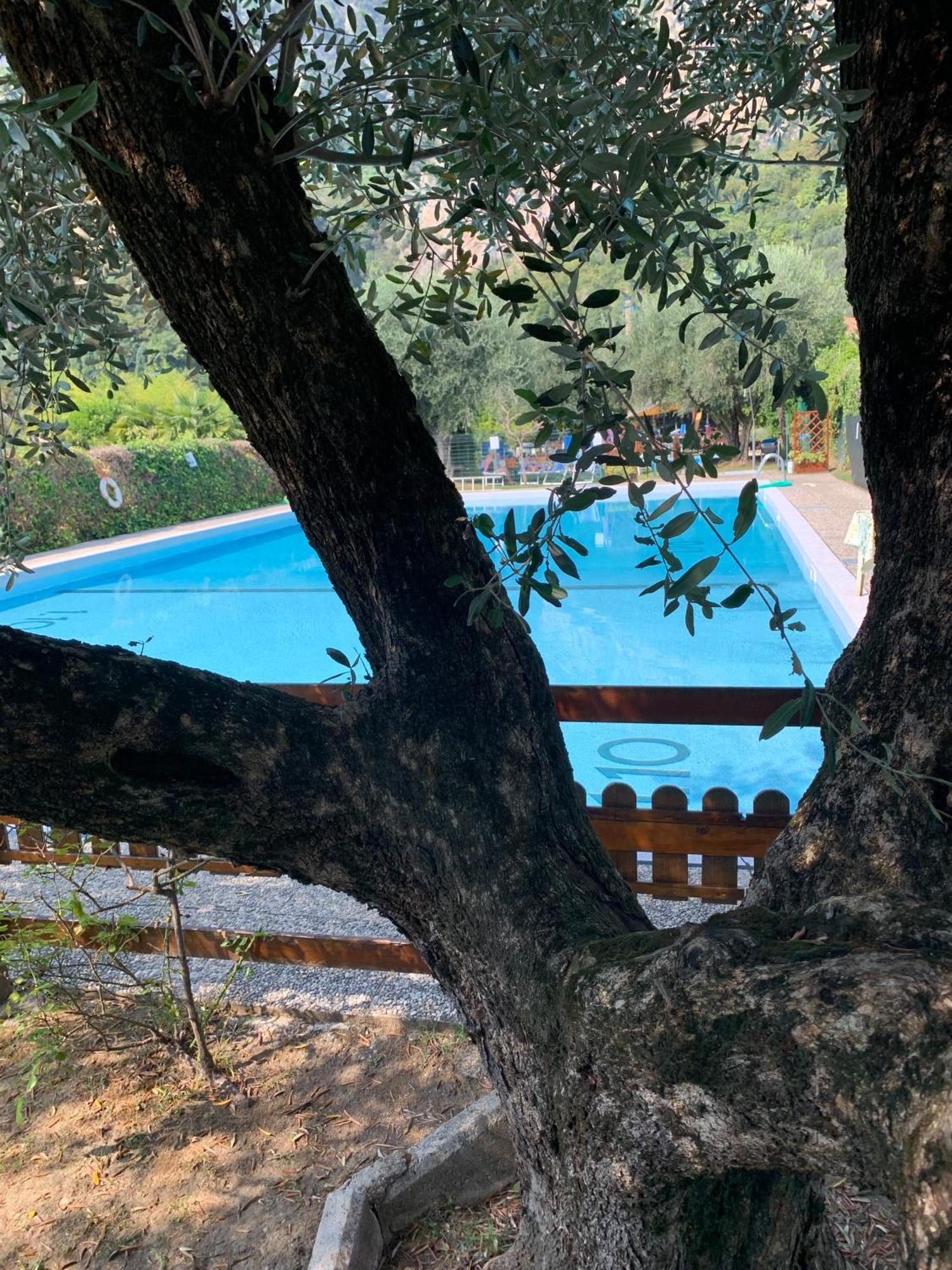 Residence Cascata Varone Riva del Garda Eksteriør billede