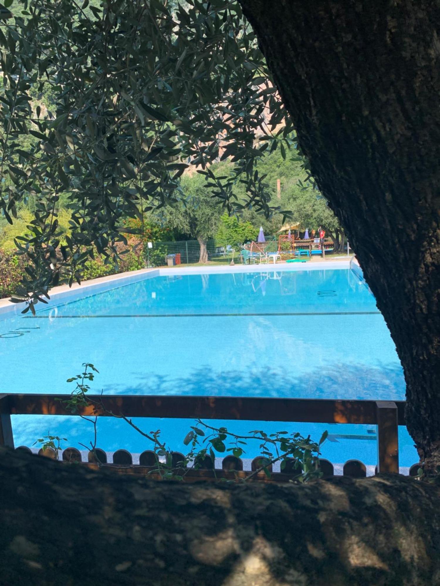 Residence Cascata Varone Riva del Garda Eksteriør billede