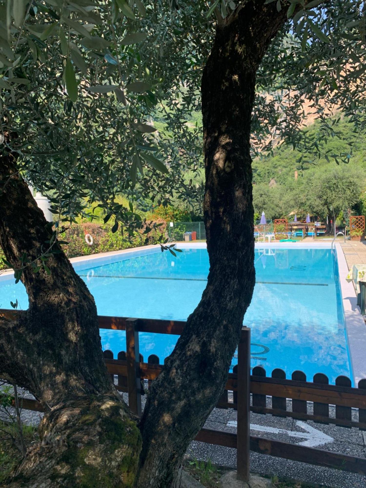 Residence Cascata Varone Riva del Garda Eksteriør billede